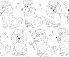 Pattern different poodle  and star on isolated background vector