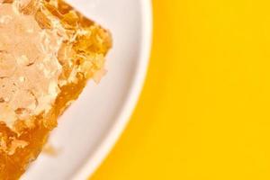 Honeycomb on plate, copy space, macro close up photo