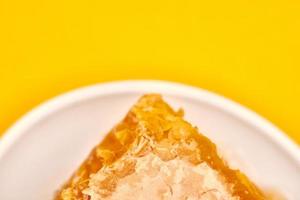 Honeycomb on plate, copy space, macro close up photo