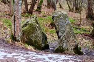 piedra hemisférica gigante dividida en dos partes en el bosque foto