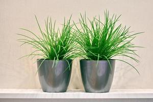 Two artificial green plants pot on shelf photo