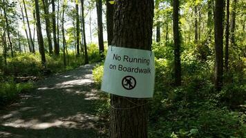 Prohibido correr en el letrero del paseo marítimo en un árbol en el bosque foto