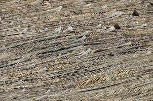 Natural stones close-up texture photo