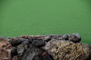 Reptile lizard on a rock photo