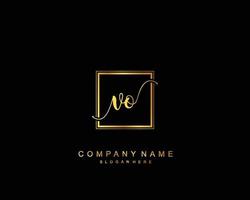 Initial VO beauty monogram and elegant logo design, handwriting logo of initial signature, wedding, fashion, floral and botanical with creative template. vector