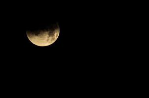 Half moon at night photo