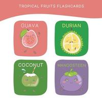 Tropical fruits Flashcards for Children. Cute fruit flashcards for children. Tropical fruit collections flashcards vector