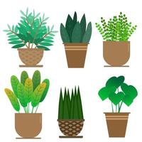 Illustrator vector of a set of green plant in cray pot.