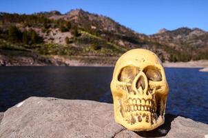 cráneo en la roca foto