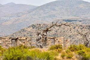 vista del paisaje del desierto foto