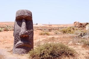 vista del paisaje del desierto foto