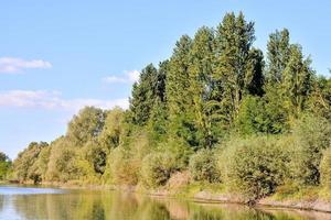 vista de bosques escénicos y río foto