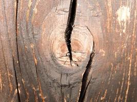 Wood texture close-up photo