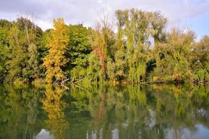 Trees by the river photo