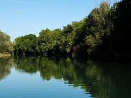 Trees by the river photo