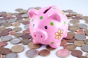 Piggy bank on coins photo