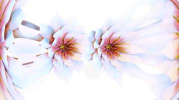 Waterlily Botanical Flower 3D Rendering photo