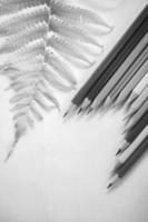 lápices de colores perfectamente alineados sobre papel blanco, hay sacapuntas y hojas foto