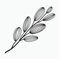 Simplicity floral freehand drawing flat design. vector