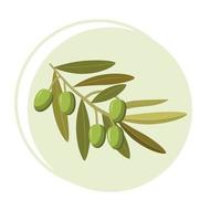 Branch of green olives on a green background. Vector illustration