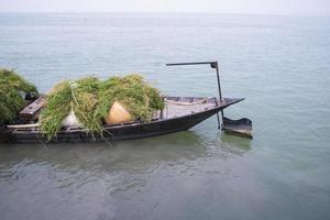 hierba verde apilada en el barco en la orilla del río padma en bangladesh foto