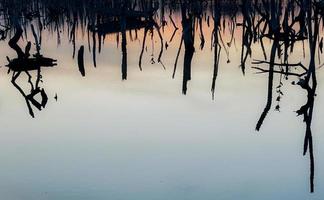 paisaje de bosque de manglares crepuscular, panorama de bosque de manglares crepuscular por la noche, hermoso bosque de manglares ya sean los tonos cálidos del crepúsculo o del amanecer, reflejo brillante de la relajación foto