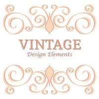 Calligraphic design elements and page decoration. Pale Orange Vintage floral elements for design on a white background. Vector decorative design elements.