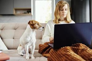 Woman working at home with her dog photo