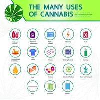 Cannabis with many benefits vector illustration.