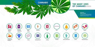 Cannabis with many benefits vector illustration.