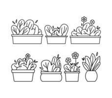 Set of outline cute potted plant, indoor plant, home decoration, houseplant illustration vector