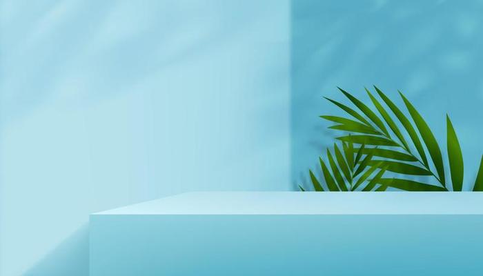 Blue Wall Background with coconut palm leaves,3D Display Studio with tropical leaf shadow,Gallery room with sunlight overlay on wall,Vector design Product background for Spring,Summer presentation