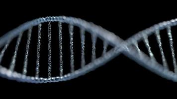 transparente blaue dna-kette auf schwarzem hintergrund - wissenschaftskonzept, nahtlose schleife video