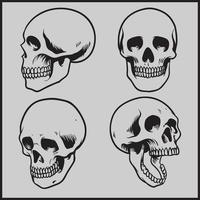 skull pack hand drawing vector