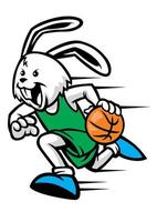 rabbit play basketball vector