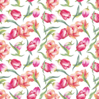 padrão sem emenda de tulipas. ilustração em aquarela png