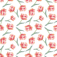 padrão sem emenda de tulipas. ilustração em aquarela png