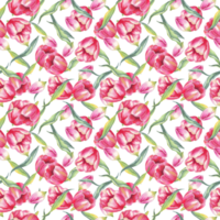 Tulips seamless pattern. Watercolor illustration png