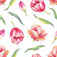 Tulpen Musterdesign. aquarellillustration png