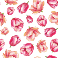 padrão sem emenda de tulipas. ilustração em aquarela png