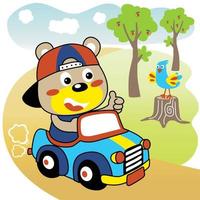 Cute bear driving car, little bird perching on tree stump, vector cartoon illustration