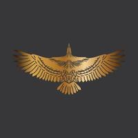 Hand Draw Flyin Eagle Golden Background Isolated Black Background vector