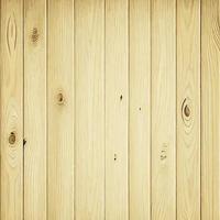 Light wood texture with knots, plank background - Vector