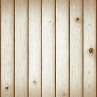 Light wood texture with knots, plank background - Vector