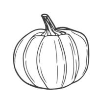 icono de garabato de contorno de calabaza dibujado a mano vectorial. ilustración de boceto de alimentos para impresión, web, móvil e infografía aislado sobre fondo blanco. vector