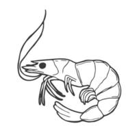 icono de garabato de contorno dibujado a mano de camarones. ilustración de boceto vectorial de mariscos saludables - camarones o gambas para impresión, web, móvil e infografía aislado sobre fondo blanco. vector