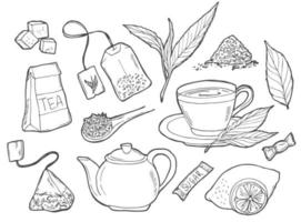 Hand drawn doodle Tea time icon set. Vector illustration. Isolated drink symbols collection. Cartoon various beverage element mug, cup, teapot, leaf, bag