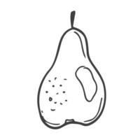 Pear fruit line drawing, Black and white vector minimalistic linear illustration in doodle style