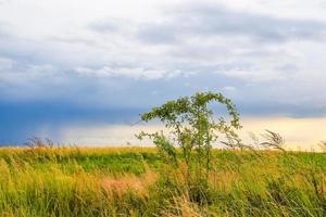 paisaje de campo verde con cielo azul y nubes tormentosas. foto