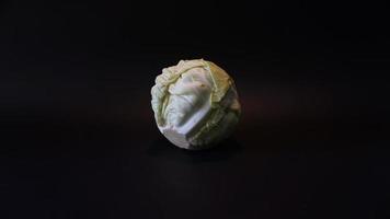 Fresh pointed white cabbage on black background. photo